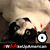 Alan Mathews's profile image