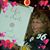 Amy Rummel's profile image