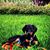 Sinnah Artuso's profile image