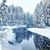 Trista Batton's profile image