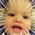 Jean Helton's profile image