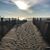 Julie A Marbarger-McCarthy's profile image