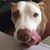 Christine Caldwell's profile image