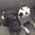 Debby Stiegelmeyer Campbell's profile image