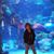 Tina Moore Easter's profile image