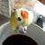 Judy Bajorek's profile image