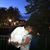 Michelle Guest's profile image