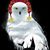 Dawn Ryan's profile image