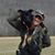 Wendy Renee's profile image
