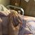 Trenda Baldridge's profile image