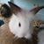 Susan Maggio Booth's profile image