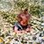 Jessie Rogers-Hardy's profile image