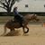 Carol Aldrich Hunter's profile image