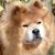 Judy Suplee's profile image