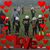 Vivi Lovemonkee's profile image