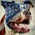 Roy Tiscareno's profile image