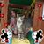 Moselsky Tabitha N Ronnie's profile image