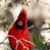 Lynda Douglas's profile image