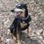 Venetta Twichell Bueno's profile image
