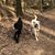 Sunda Willison's profile image