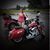 Tammy R. Ketcham's profile image