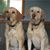 Jane Shapcott Tkach's profile image