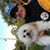 Alan Stewart Alan's profile image