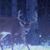 Charles Seils's profile image