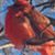 LuAnn Mays's profile image