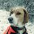 Lynda Irene Smith's profile image