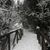 Tami Rheault's profile image