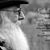 David Carrier's profile image