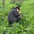 Abdul-Rahman S. AK's profile image