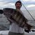 Dave Walker's profile image