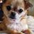 Kay Kieso's profile image