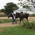 Nancy Jurgensen's profile image
