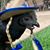Lisa Torrison's profile image