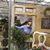 Dianna Gregory's profile image