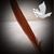 Paula Farinella's profile image