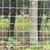 Sherrie Roote's profile image
