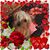 Jerry Buoch Nichols's profile image