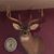 Jim Suggs's profile image
