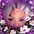 Gabriela Lara's profile image