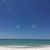 Carolyn Barton Lipscomb's profile image