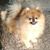 Molly Anderson's profile image