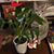 Janet McIntosh Moltz's profile image