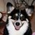 Cheryl McClain's profile image