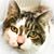 Pansy Atkins's profile image