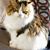 Kathy Humphrey's profile image