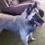 Gail Vandenlangenberg's profile image